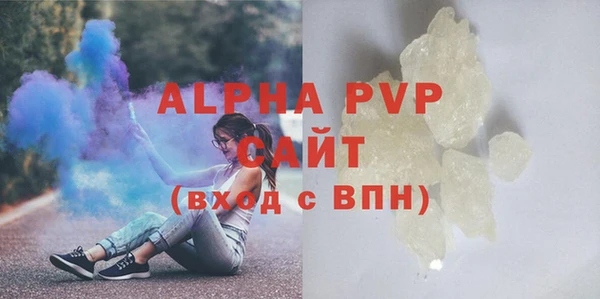 a pvp Бородино